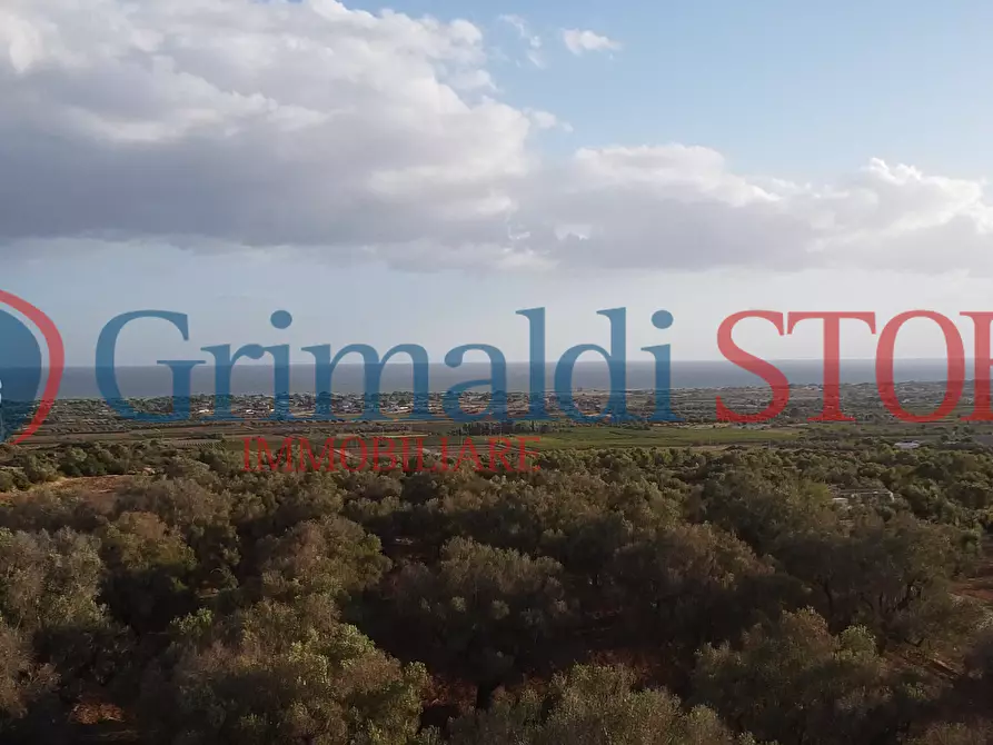 Immagine 16 di Terreno agricolo in vendita  a Manduria
