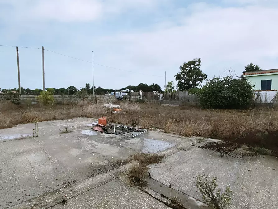 Immagine 7 di Terreno agricolo in vendita  in Via della Campana a Anzio