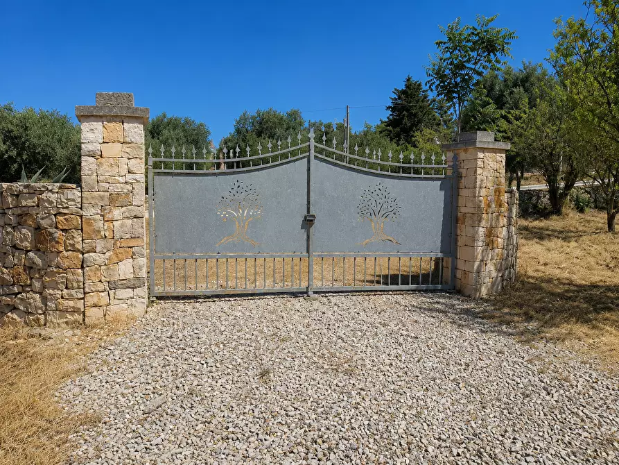 Immagine 16 di Terreno agricolo in vendita  in Contrada San Benedetto a Ostuni