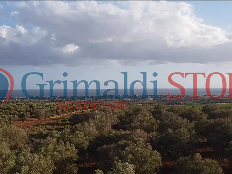 Immagine 1 di Terreno agricolo in vendita  a Manduria