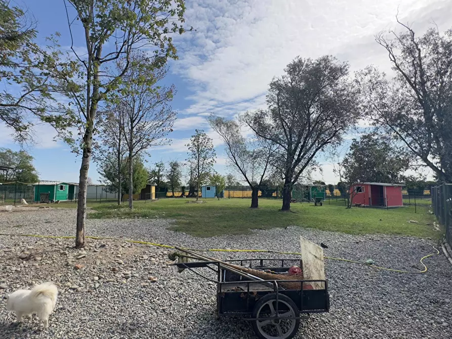 Immagine 6 di Rustico / casale in vendita  in via umberto 1 a Greggio