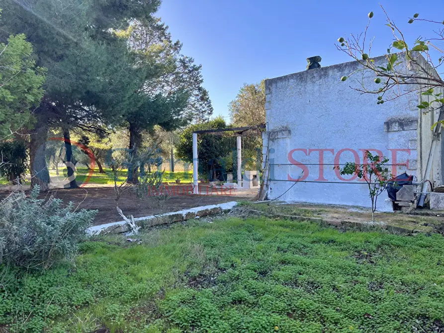 Immagine 34 di Rustico / casale in vendita  a San Vito Dei Normanni
