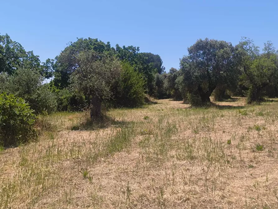 Immagine 8 di Casa indipendente in vendita  in Contrada Balice a Monopoli