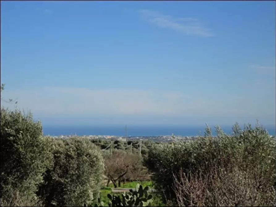 Immagine 2 di Rustico / casale in vendita  in C.da Peroscia a Monopoli