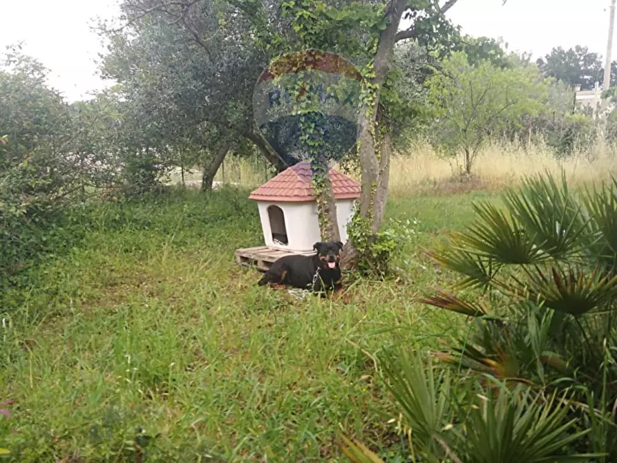 Immagine 16 di Villa in vendita  in Contrada Romanazzi 682/A a Monopoli