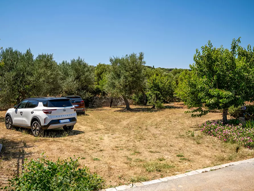 Immagine 3 di Villa in vendita  in Contrada San Gerardo a Monopoli