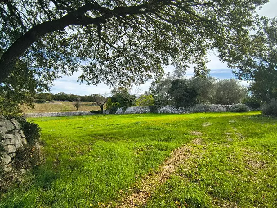 Immagine 17 di Casa indipendente in vendita  in Contrada zecca a Monopoli