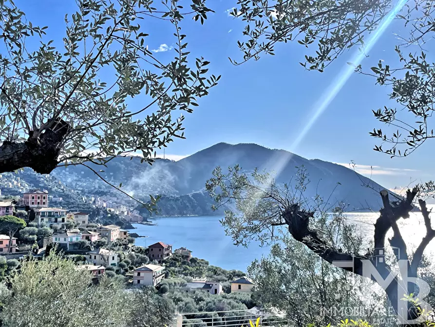 Immagine 4 di Casa indipendente in vendita  in VIA DEL CASTELLO 32 a Recco
