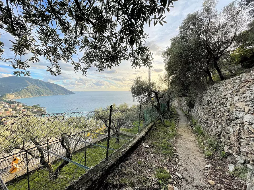 Immagine 2 di Terreno edificabile in vendita  in Via alla Pineta 2 a Recco