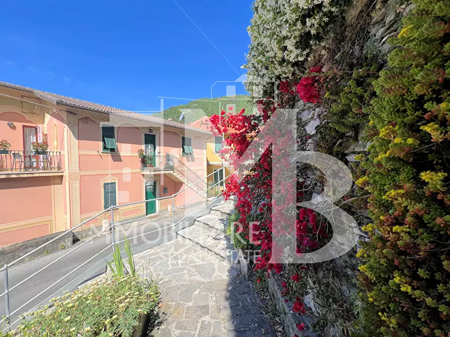 Immagine 8 di Quadrilocale in vendita  in Strada Provinciale 333 di Uscio 56 a Avegno