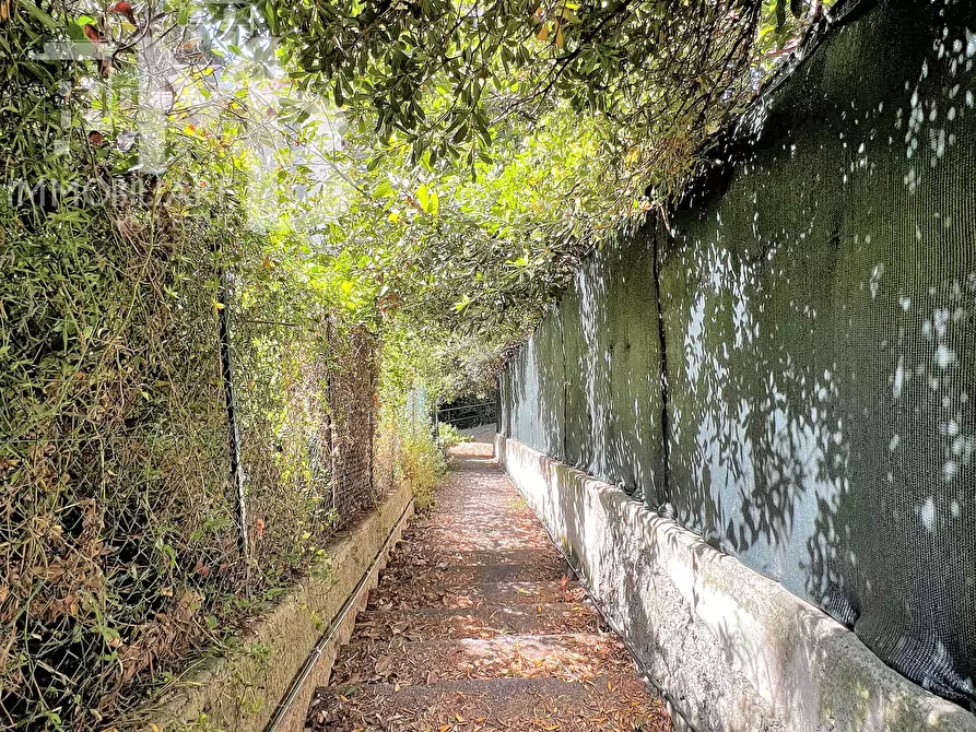 Immagine 34 di Bilocale in vendita  in Via Romagneno 64 a Recco