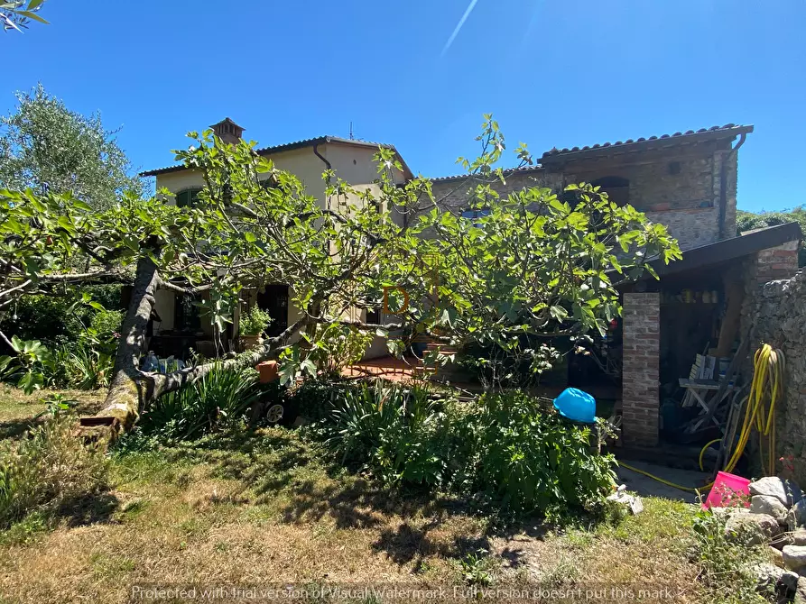 Immagine 39 di Rustico / casale in vendita  a Ameglia