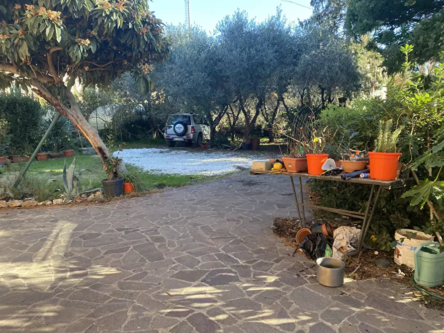 Immagine 3 di Casa indipendente in vendita  a Sarzana