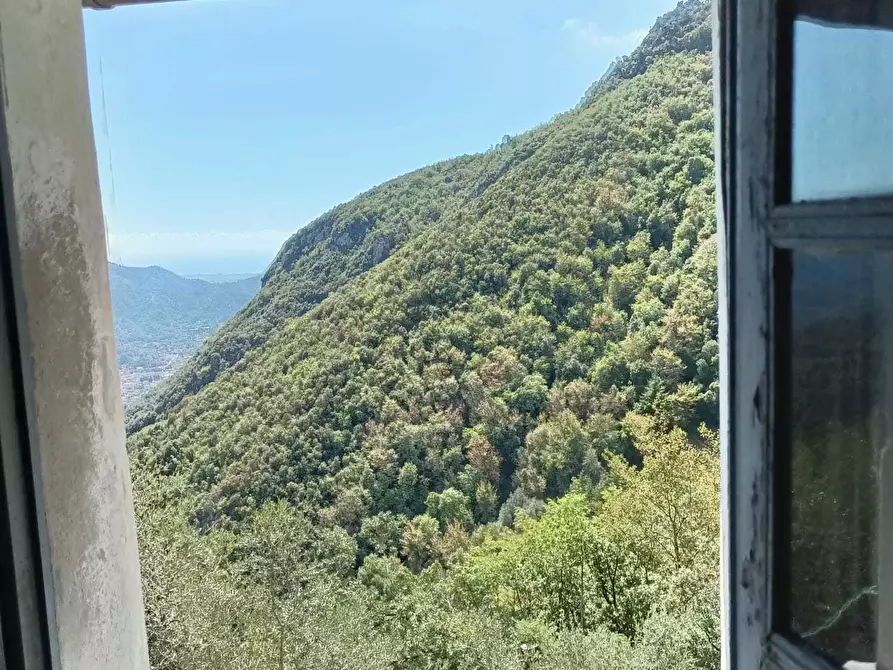 Immagine 22 di Terratetto in vendita  a Camaiore