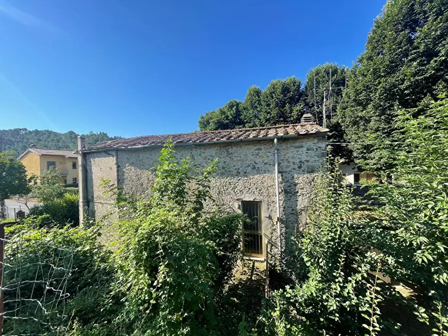 Immagine 4 di Rustico / casale in vendita  a Camaiore