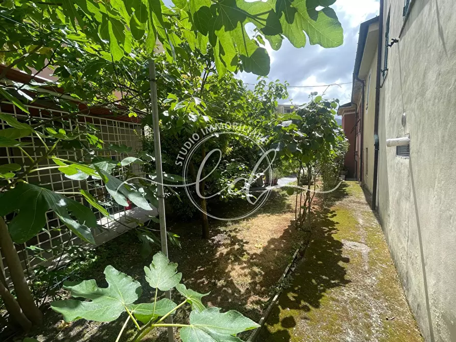 Immagine 53 di Porzione di casa in vendita  a Carrara