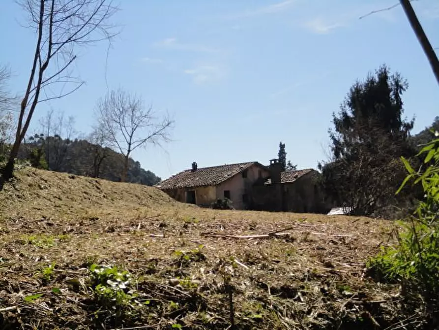 Immagine 8 di Rustico / casale in vendita  a Seravezza