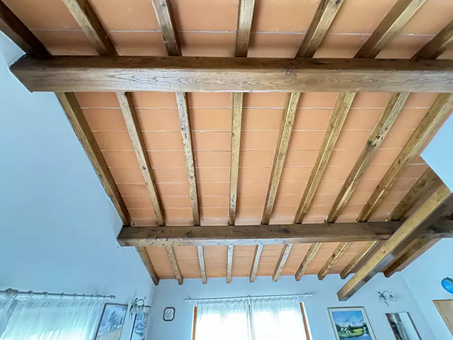 Immagine 56 di Casa indipendente in vendita  a Pietrasanta