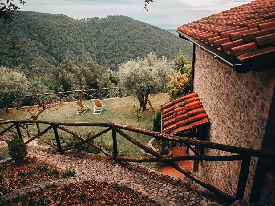 Immagine 43 di Rustico / casale in affitto  a Camaiore