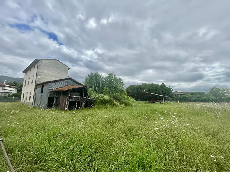 Immagine 4 di Rustico / casale in vendita  a Massarosa