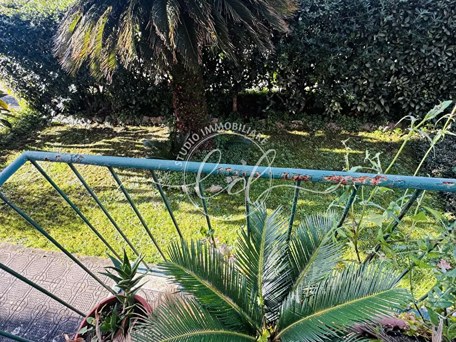 Immagine 38 di Quadrilocale in vendita  a Seravezza