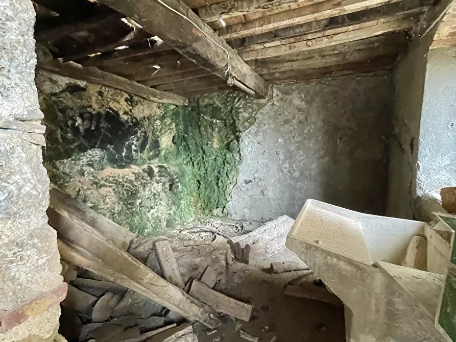 Immagine 32 di Casa indipendente in vendita  a Pietrasanta