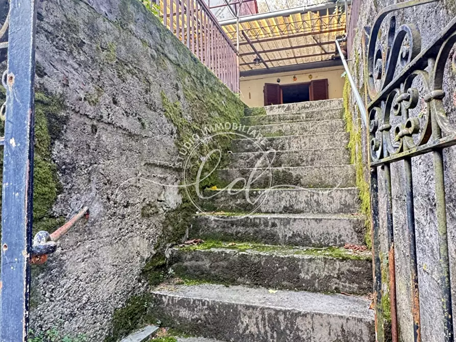 Immagine 45 di Terratetto in vendita  a Pietrasanta