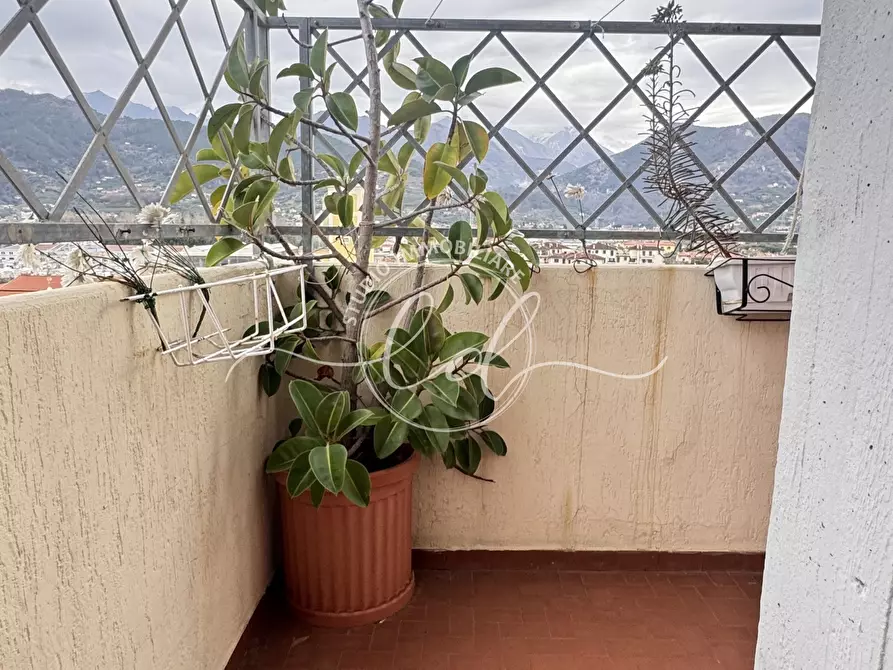 Immagine 16 di Quadrilocale in affitto  a Seravezza