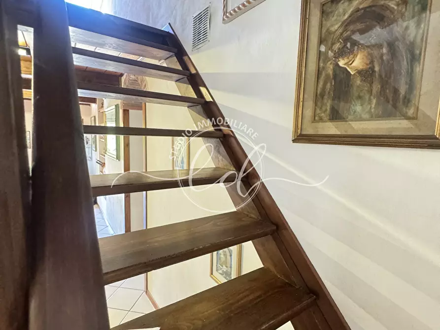 Immagine 22 di Rustico / casale in vendita  a Camaiore