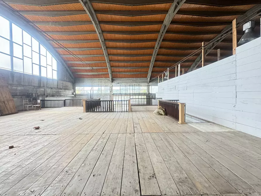 Immagine 4 di Magazzino in affitto  a Pietrasanta