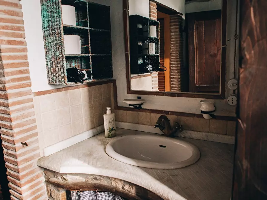 Immagine 14 di Rustico / casale in affitto  a Camaiore