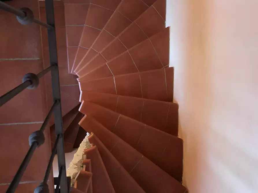 Immagine 40 di Rustico / casale in vendita  a Camaiore