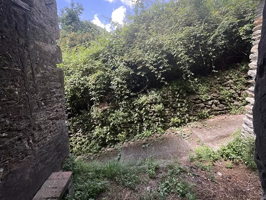 Immagine 21 di Rustico / casale in vendita  a Seravezza