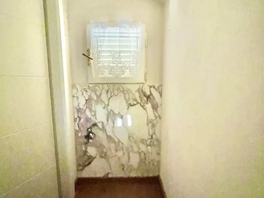 Immagine 24 di Villa in affitto  a Pietrasanta