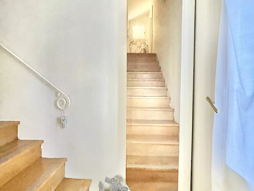 Immagine 20 di Villa in affitto  a Pietrasanta