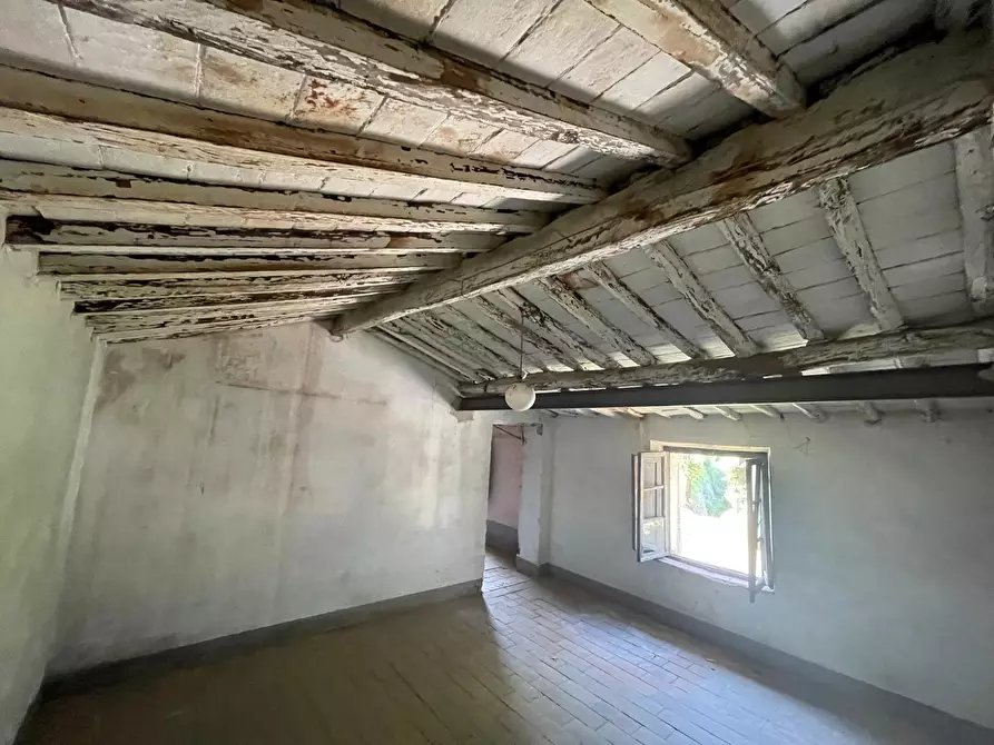Immagine 35 di Rustico / casale in vendita  a Camaiore