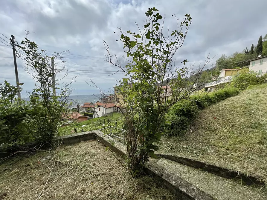 Immagine 37 di Casa indipendente in vendita  a Pietrasanta