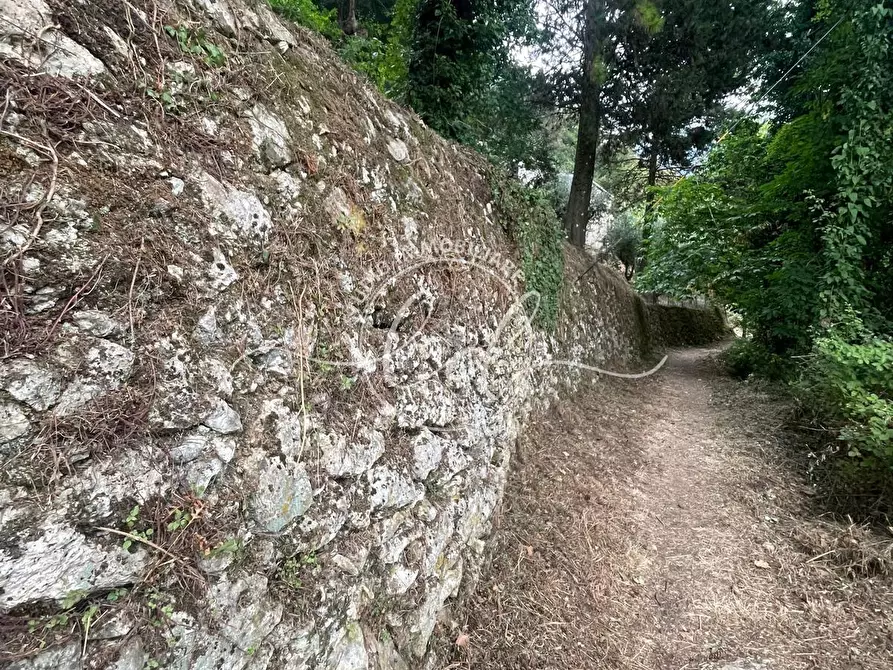 Immagine 42 di Porzione di casa in vendita  a Camaiore