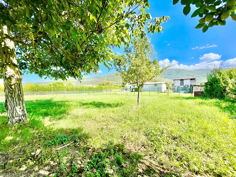 Immagine 2 di Villa in vendita  a Pietrasanta