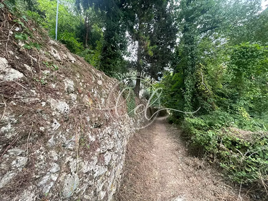 Immagine 34 di Porzione di casa in vendita  a Camaiore