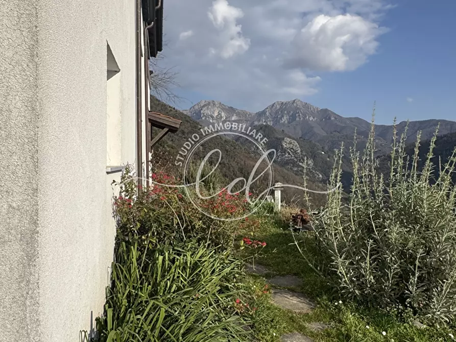 Immagine 48 di Casa indipendente in vendita  a Stazzema