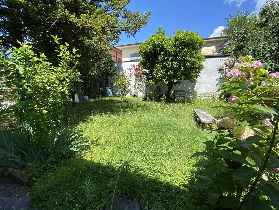 Immagine 18 di Trilocale in affitto  a Seravezza