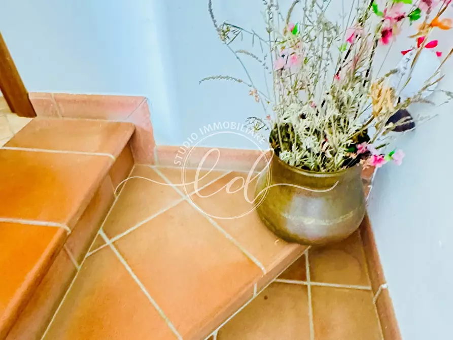 Immagine 27 di Casa indipendente in vendita  a Massarosa