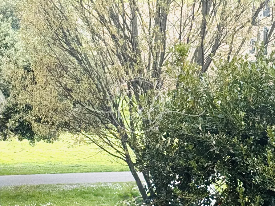 Immagine 54 di Pentalocale in vendita  a Lucca