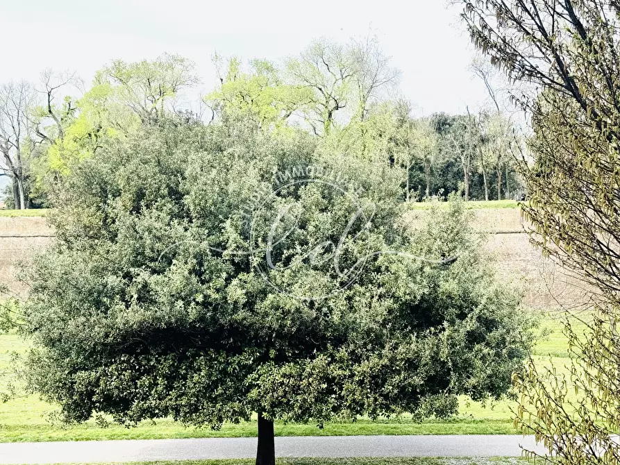 Immagine 69 di Pentalocale in vendita  a Lucca