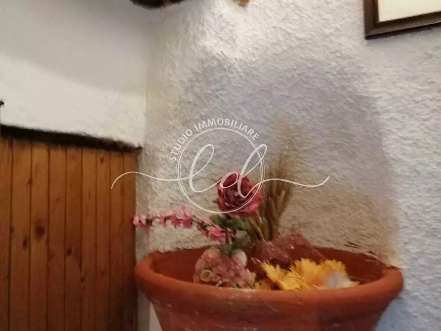 Immagine 13 di Terratetto in vendita  a Stazzema