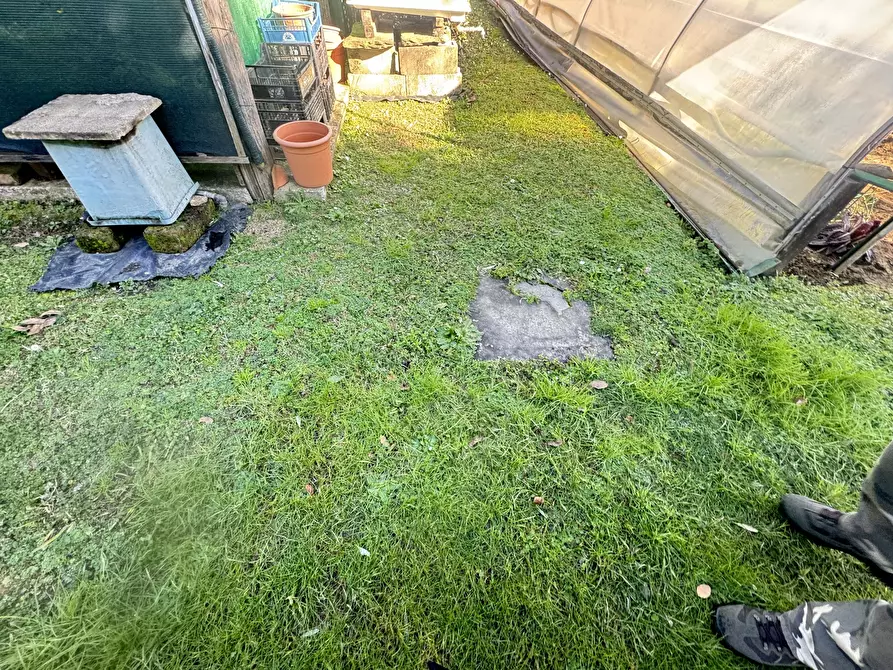 Immagine 13 di Terreno agricolo in vendita  a Pietrasanta