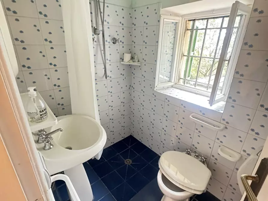 Immagine 13 di Rustico / casale in vendita  a Pietrasanta