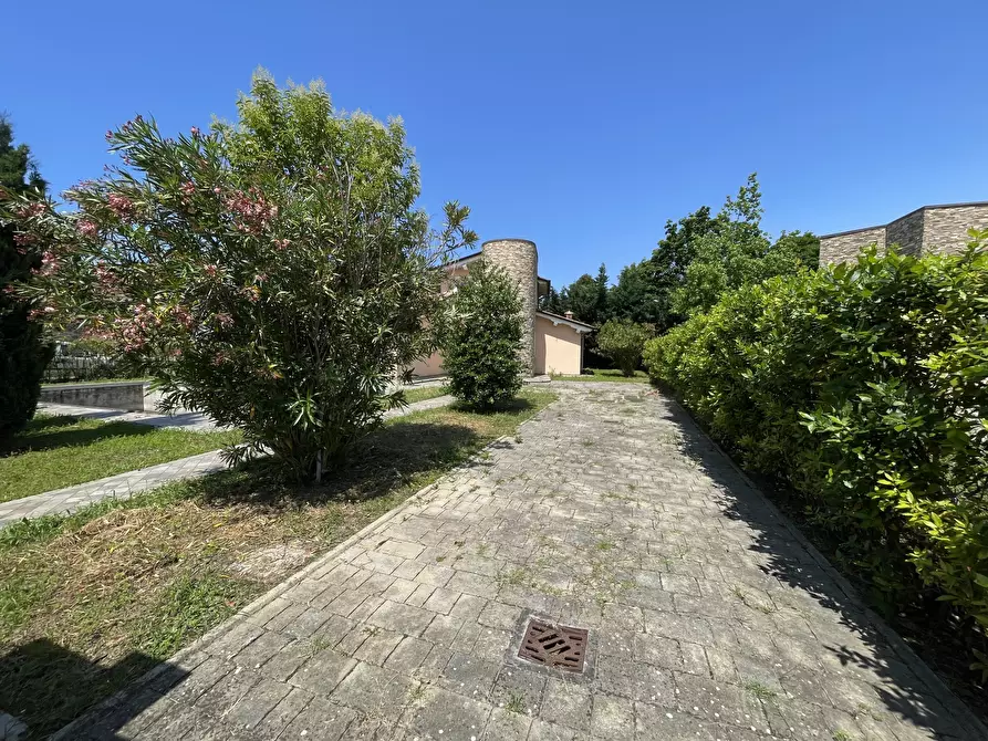 Immagine 3 di Villa in vendita  a Pietrasanta