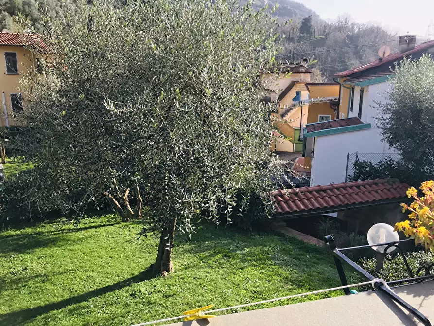 Immagine 21 di Casa indipendente in vendita  a Pietrasanta